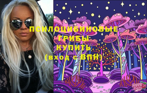 крисы Алексеевка