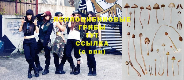 экстази Осташков