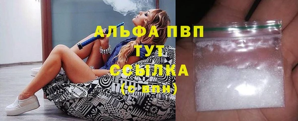 спайс Арсеньев
