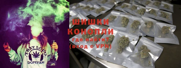 дмт Аркадак