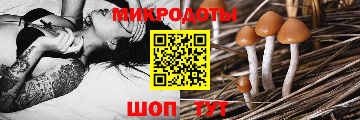 Выкса  Галлюциногенные грибы мицелий  Вход с VPN 